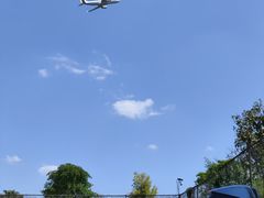 -空港花田景区