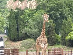 -大连森林动物园