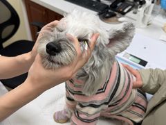 -美联众合动物医院·24h转诊中心