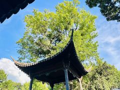 -浙江省博物馆(孤山馆区)