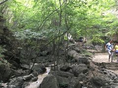 -十渡东湖港风景区