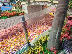 -天山海世界·米立方