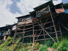 -菜园坝水果市场