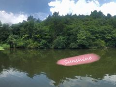景点-天目湖山水园