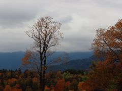 -塔川景区
