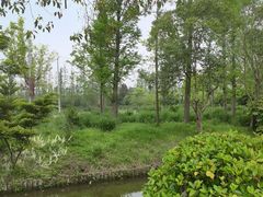 -上海长兴岛郊野公园