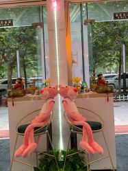 大厅-东宫造型Eastern palace