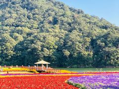 -广州市石门国家森林公园