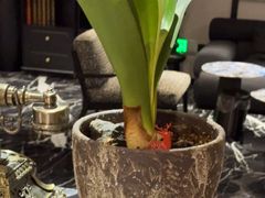 -万泊酒店(长沙五一广场国金中心店)