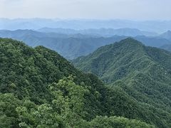 -栾川竹海野生动物园