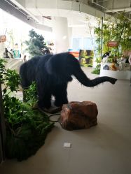 -IMON·HANSA潮玩玩偶毛绒玩具(通州万象汇店)