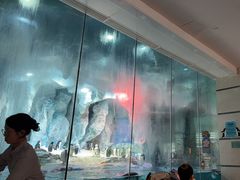 -帝企鹅自助餐厅•儿童岛•真企鹅(长隆企鹅酒店)