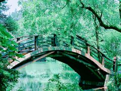-杭州植物园