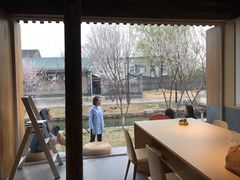 -春风习习
