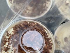 -BeauTea水仙(coco park店)