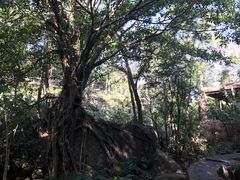 -七仙岭温泉国家森林公园