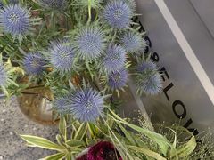 -FEI FEI FLOWER鲜花店·气球派对·宝宝宴布置(虹口德必运动Loft店)
