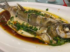 -留芳·文旅古月楼(老街店)