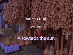 -中环花鸟鱼虫市场