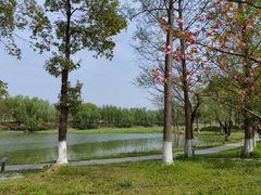 -洋湖国家湿地公园