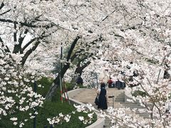 -杭州少年儿童公园