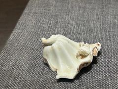 -福建博物院