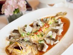 肉汁蒸海钓大黄鱼-炳胜公馆(珠江新城店)