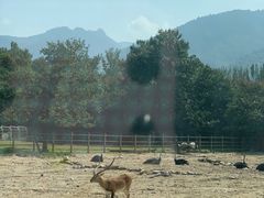 -西安秦岭野生动物园