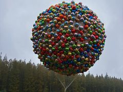 -黄海国家森林公园