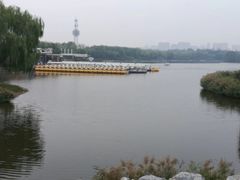 -大兴滨河森林公园