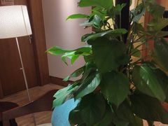 -德瑞姆心理咨询旗舰店