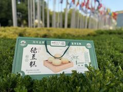 -宏发园动物奶油生日蛋糕(先锋路店)