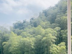 -将军关探险漂流