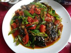 -生态苑农庄(十里画廊遇龙河店)