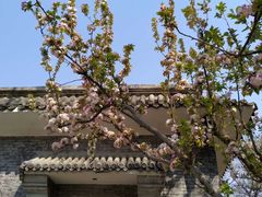 -元大都城垣遗址公园