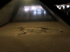 -世界恐龙谷景区