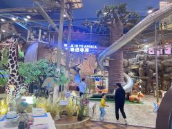 -卡通尼·Safari非洲探索乐园·生日会(金桥国际商业广场店)