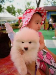 -萌宠亲子动物乐园(槐房万达店)