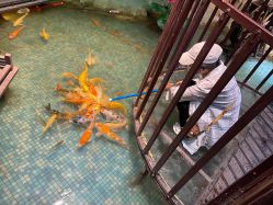 -酷嗒动物文化乐园(cutezoo西溪乐天城店)