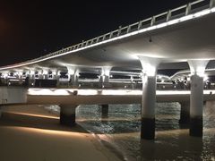 -演武大桥观景平台