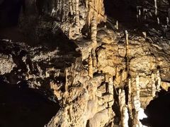 -波斯托伊纳溶洞