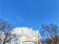 -紫金山山顶公园