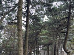 -罗田薄刀峰风景区