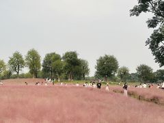 -汉长安城未央宫国家考古遗址公园