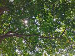 -福建鲤鱼洲酒店