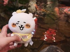 -鱼满舱·鲜活海鲜·正宗鲁菜