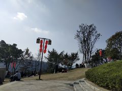 -铁山坪森林公园