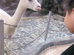 -上海大自然野生昆虫馆(东方明珠·爬宠昆虫探索中心)