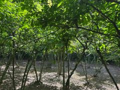 -白马涧龙池景区