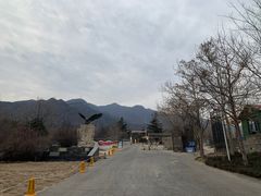 -北京鹫峰国家森林公园